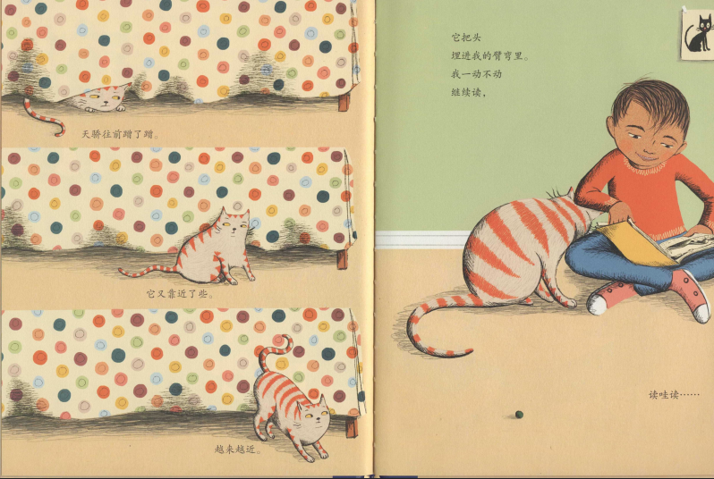 一只不开心的猫