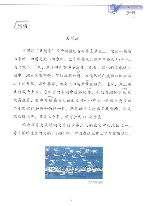 《双双中文教材》第十七册：中文科普阅读