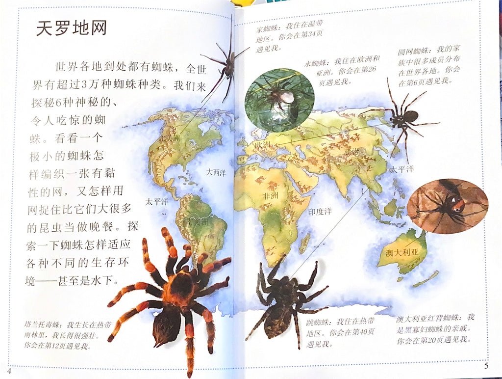 儿童目击者丛书：蜘蛛的秘密（分级阅读）