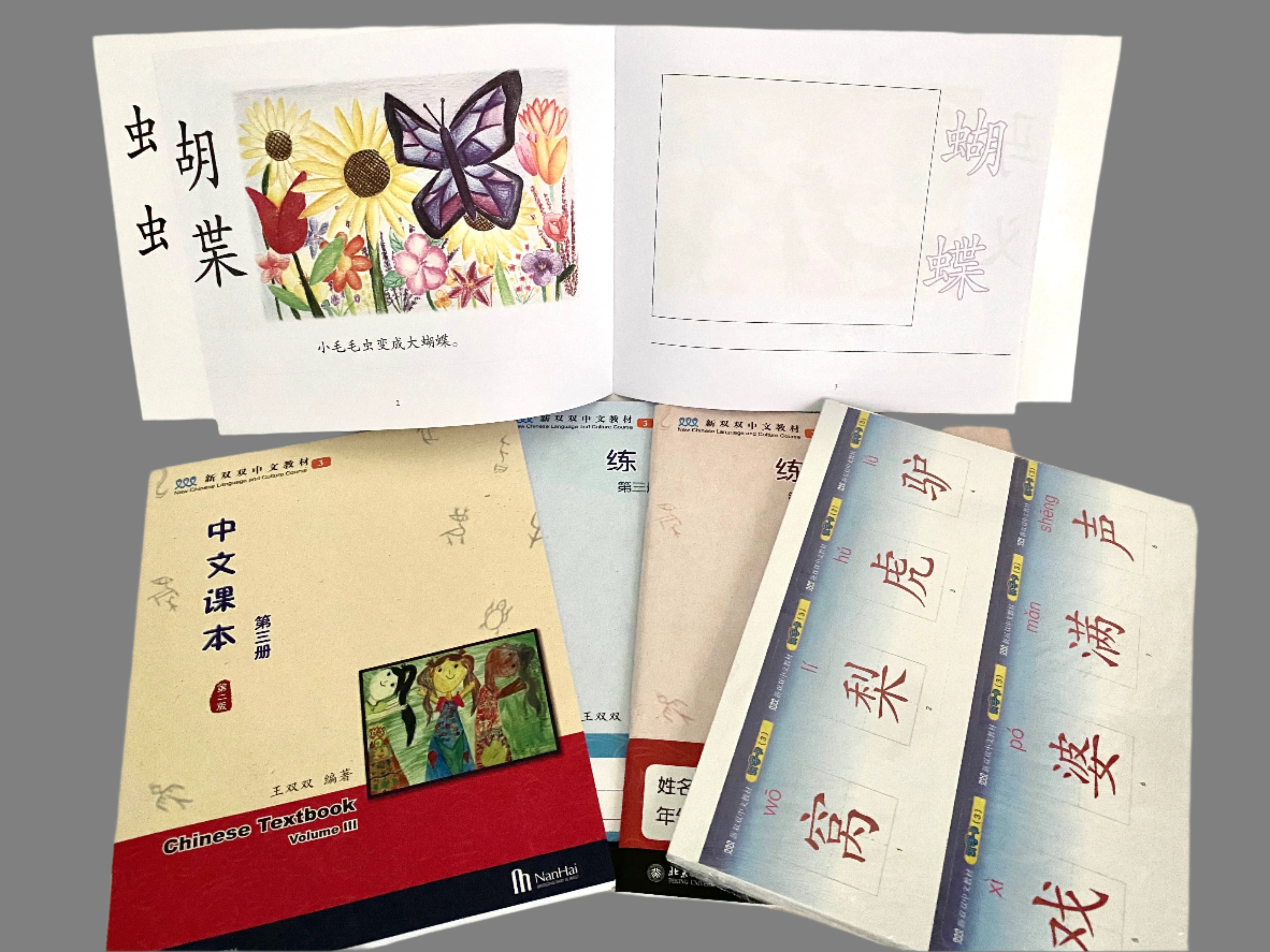 New Shuangshuang Chinese TextBook 3《新双双中文教材》第三册