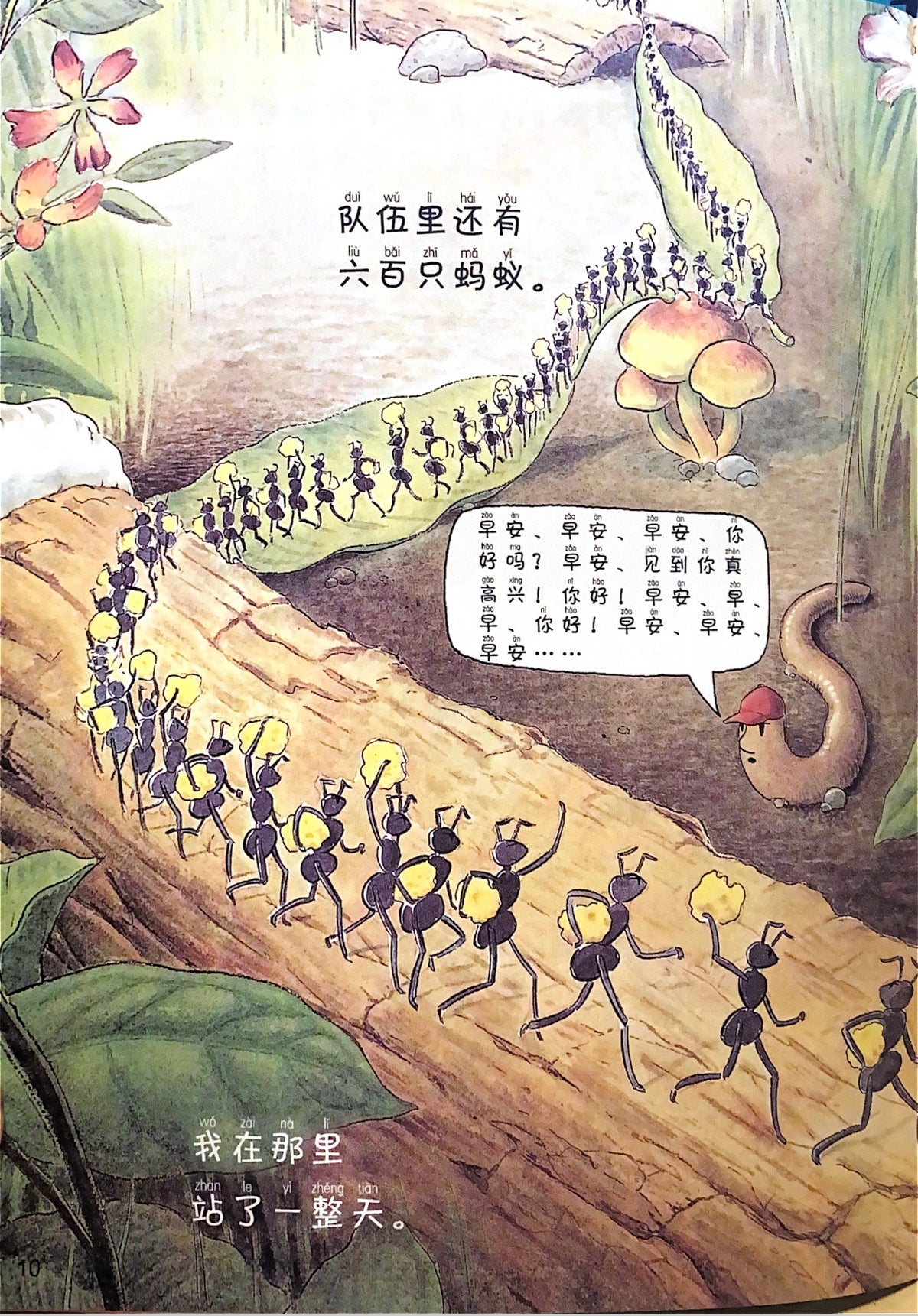 蚯蚓的日记