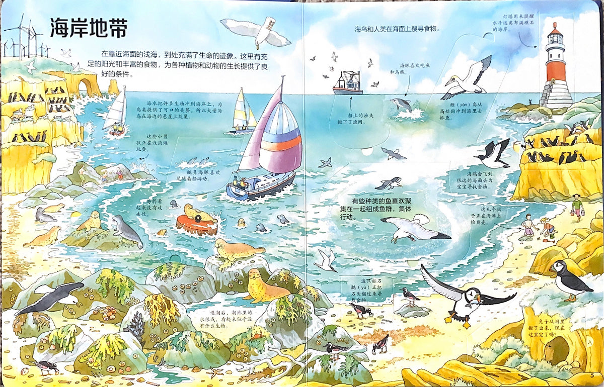 海洋揭秘