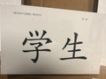 Shuang Shuang Chinese Textbook Vol. 2 Teaching Flashcards