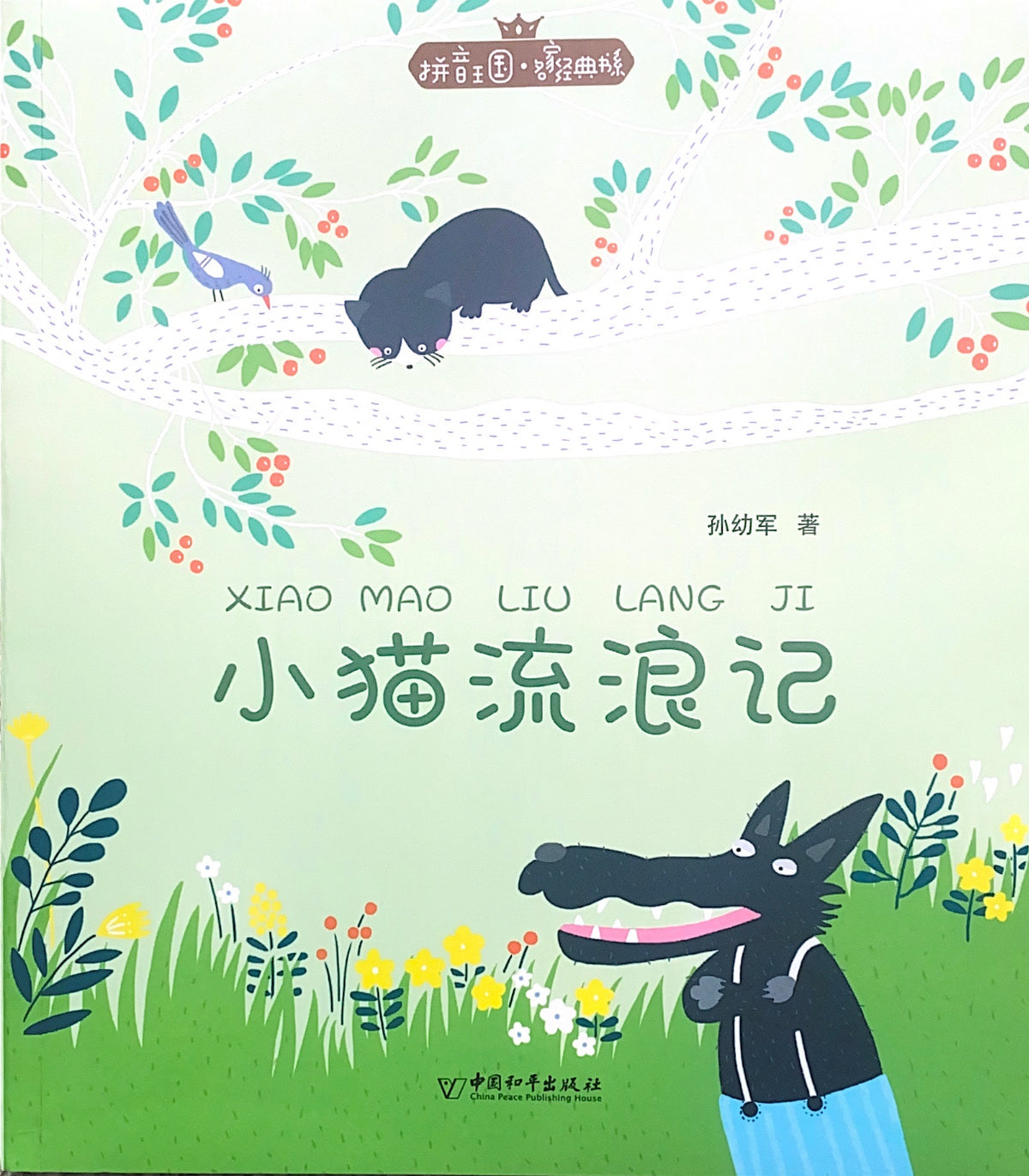 拼音王国 名家经典 小猫流浪记