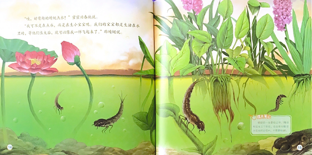 奇妙的科学系列 —— 昆虫世界