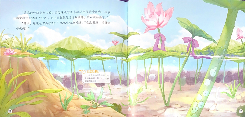 奇妙科学系列 —— 奇妙的植物