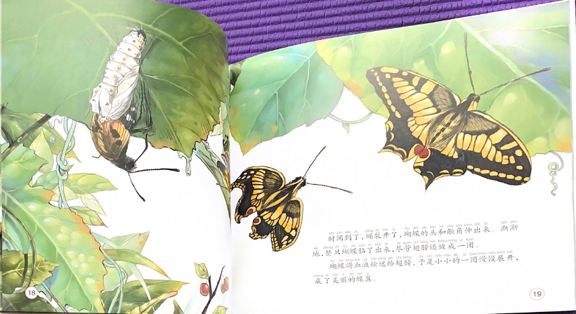奇妙的科学系列——美丽的变身大师